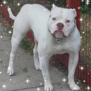 Meet your Posher, Libbysean